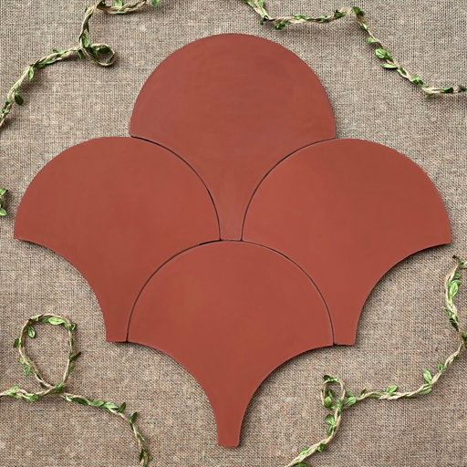 CON SÒ (2)(1).jpg